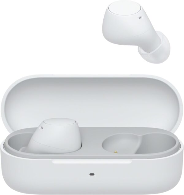Sony Wireless Stereo Earbuds WF C510 - Image 2