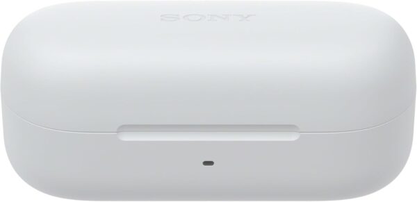 Sony Wireless Stereo Earbuds WF C510 - Image 3